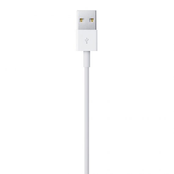 Lightning to USB Cable (1 m) - Image 3