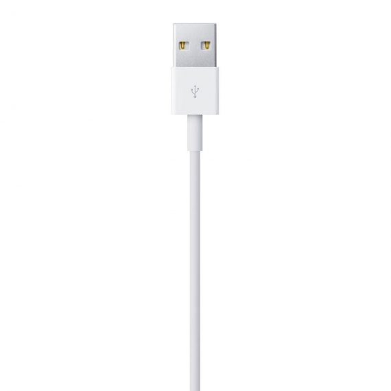 Apple Câble Lightning vers USB - 0.5 m - Image 3