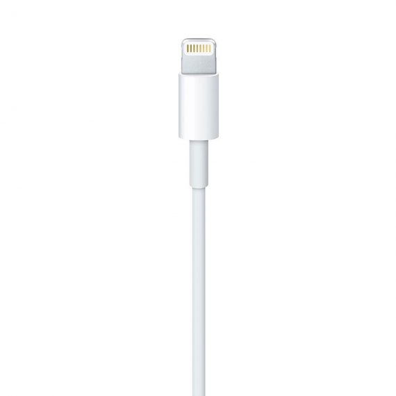 Apple Câble Lightning vers USB - 0.5 m - Image 4