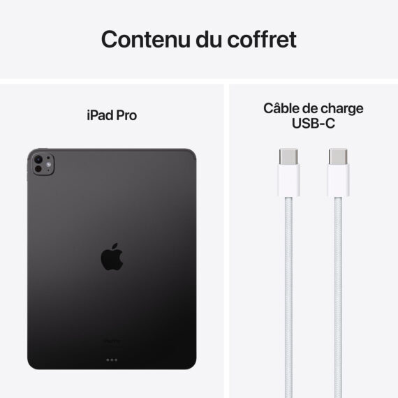 Apple iPad Pro M4 (2024) 13 pouces Noir Sidéral Standard glass - Image 2
