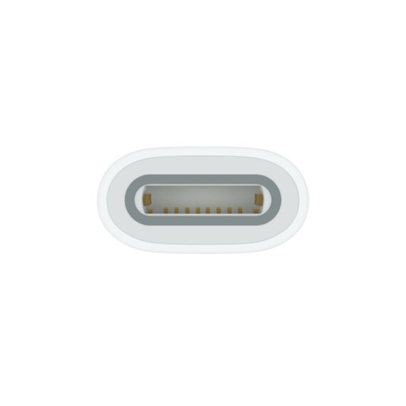 USB-C to Apple Pencil Adapter - Image 3