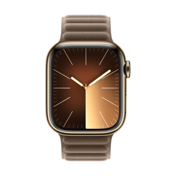 Apple Bracelet Taupe Magnetic Link Apple Watch 41 mm - Image 2